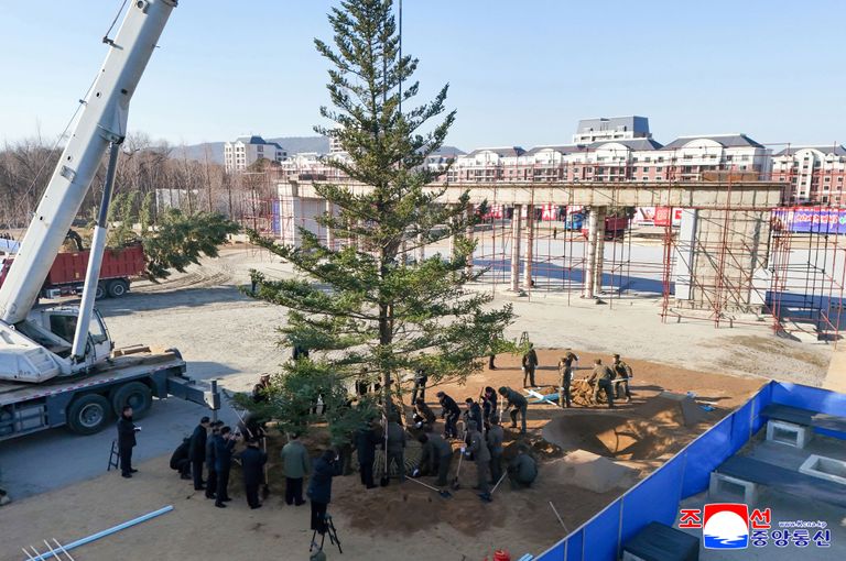 كيم وابنته يزرعان شجرة