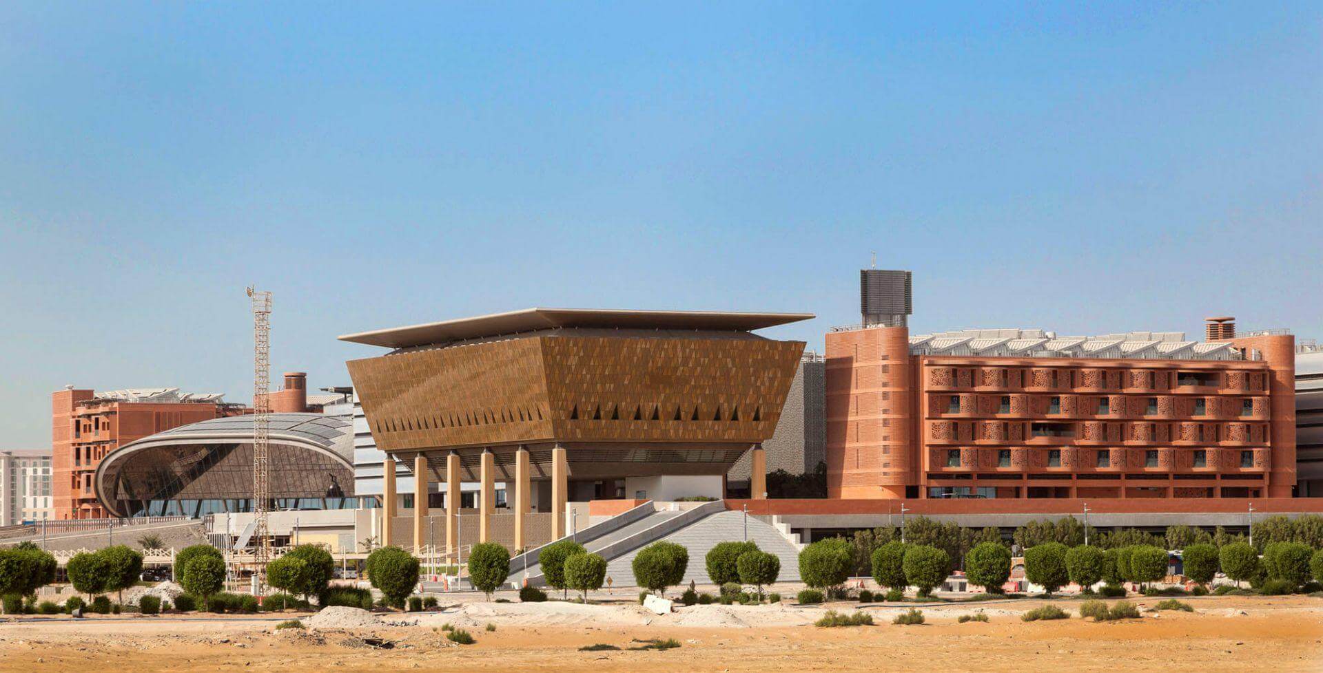 قصة الخمسين عام