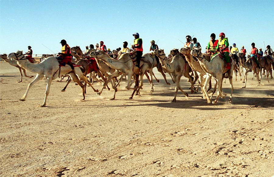 أشغال يدوية وأزياء تراثية وخيول وتمور في