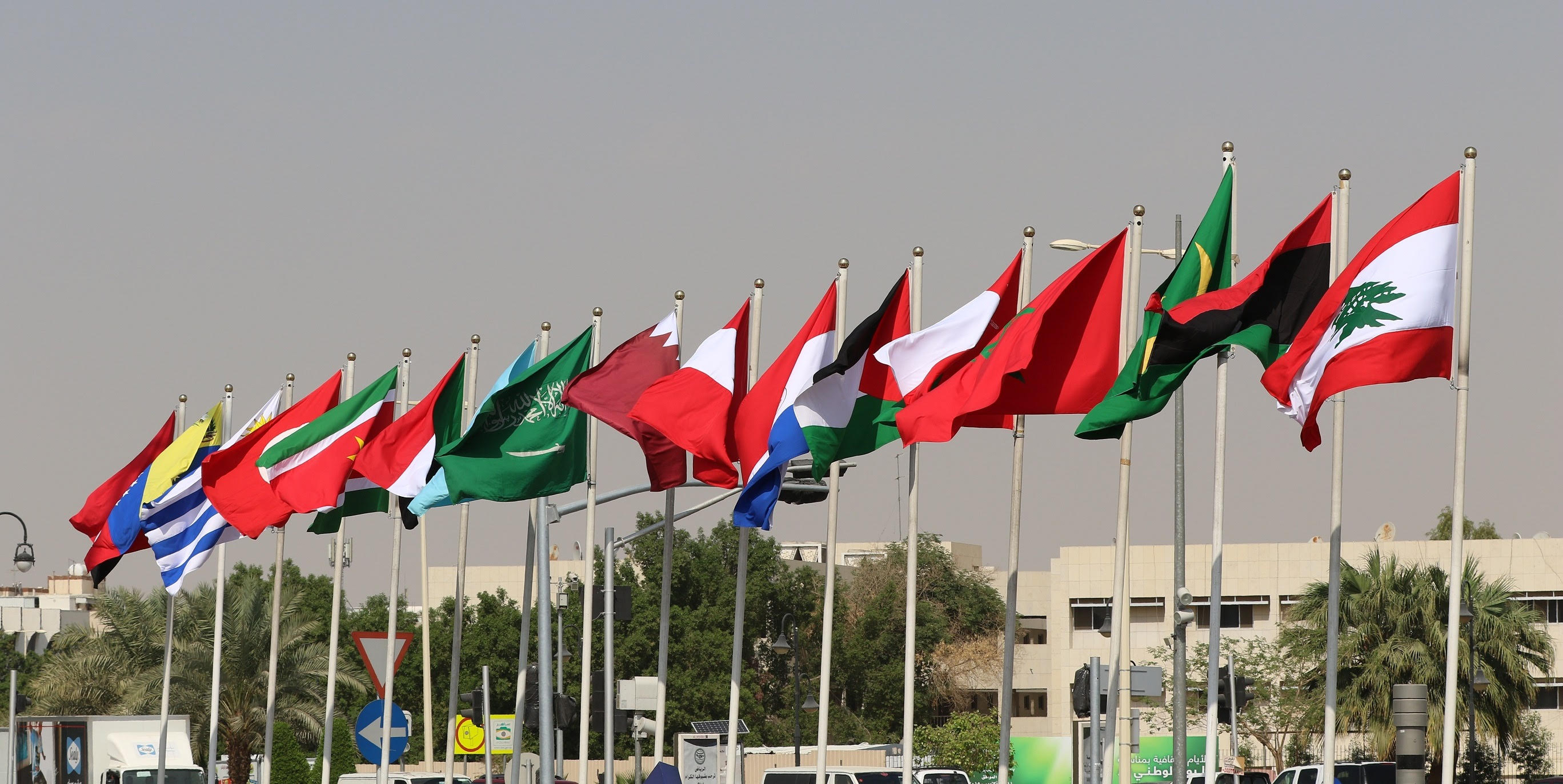 Россия и арабские страны флаги