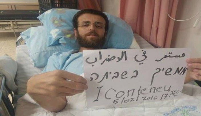 محمد القيق