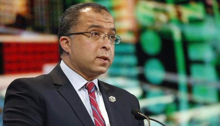 وزير التخطيط المصري، أشرف العربي