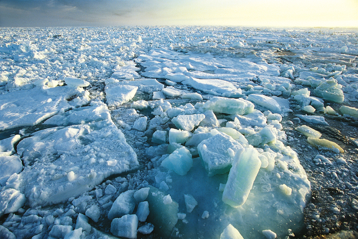 انخفاض مستوى جليد القطب الشمالي لأدنى مستوى له في فصل الشتاء