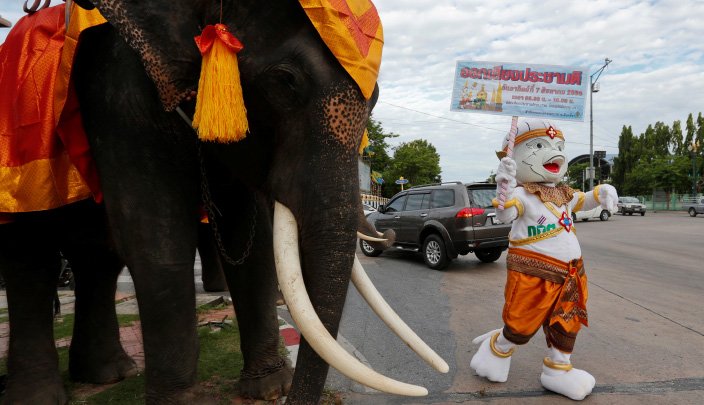 الفيلة تروج لحملة سياسية في استفتاء تايلاند