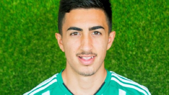 توني سيجورا