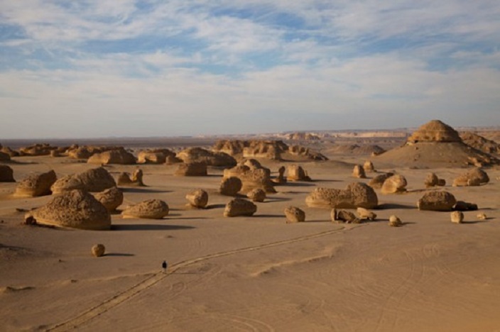 وادي الحيتان للحفريات وتغير المناخ بمحمية وادي الريان المصرية