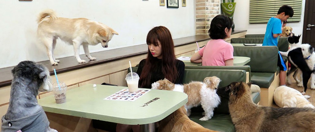 مقهى الكلاب في لوس أنجليس