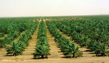 الجائزة ستساهم في دعم البحث العلمي الخاص بالابتكار الزراعي