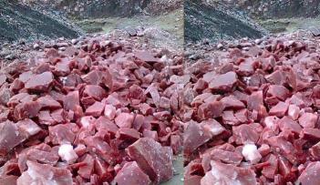 صخور تشبه اللحوم 
