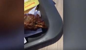  رأس دجاجة في وجبة الغداء