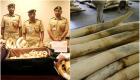 شرطة دبي تسلم وزارة البيئة 1340 قطعة من العاج المحظور تداوله