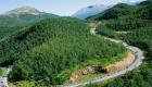 النرويج أول دولة تتعهد بعدم إزالة الغابات