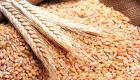 مصر تشدد قواعد استيراد الحبوب لمنع تفريغ الشحنات قبل الفحص