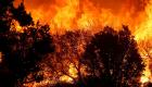 ماذا فعل حريق الغابات في كاليفورنيا؟