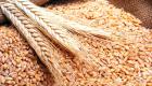 مؤسسة الحبوب السعودية تشتري 620 ألف طن من القمح الصلد
