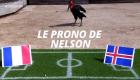 بالفيديو: الطائر نيلسون يسعد فرنسا قبل لقاء آيسلندا