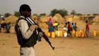 قوات 4 دول تتحد في مواجهة "بوكو حرام"
