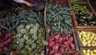 أسعار الغذاء تقود التضخم في المغرب إلى الارتفاع خلال مايو