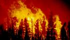 حرائق الغابات "تشعل" الطوارئ في إقليم إندونيسي