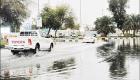 أمطار الخير تهطل على مدينة زايد ودلما بالمنطقة الغربية