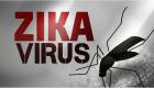 كوريا الجنوبية تؤكد أول إصابة بفيروس زيكا