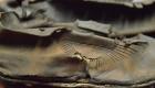 بالصور.. أحذية أديداس مستوحاة من العصر الروماني