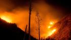 حرائق الغابات تلتهم 22 منزلا في ولاية نيفادا