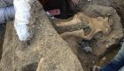 العثور على ثالث حفرية لحيوان الماموث في باريس