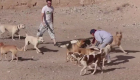 سوريون يحمون الحيوانات المنسية في الحرب
