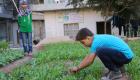 أهالي حلب يعتمدون على الزراعة المنزلية لتأمين الغذاء