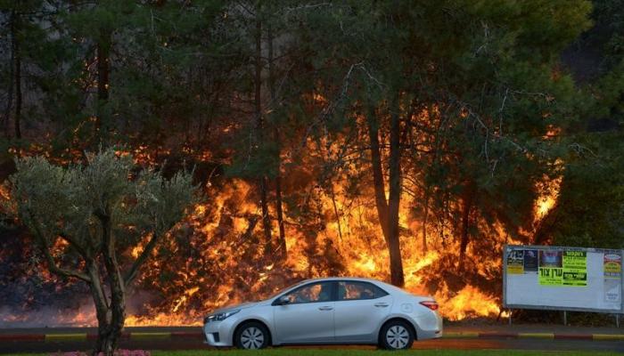 النيران تلتهم الأشجار في إسرائيل
