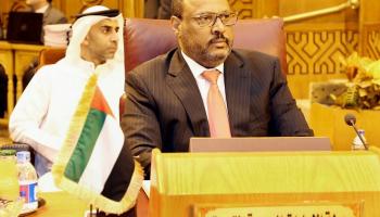 سفير الإمارات لدي مصر 