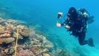 أسوأ تدمير  للحاجز المرجاني العظيم بأستراليا.. ماذا حدث؟