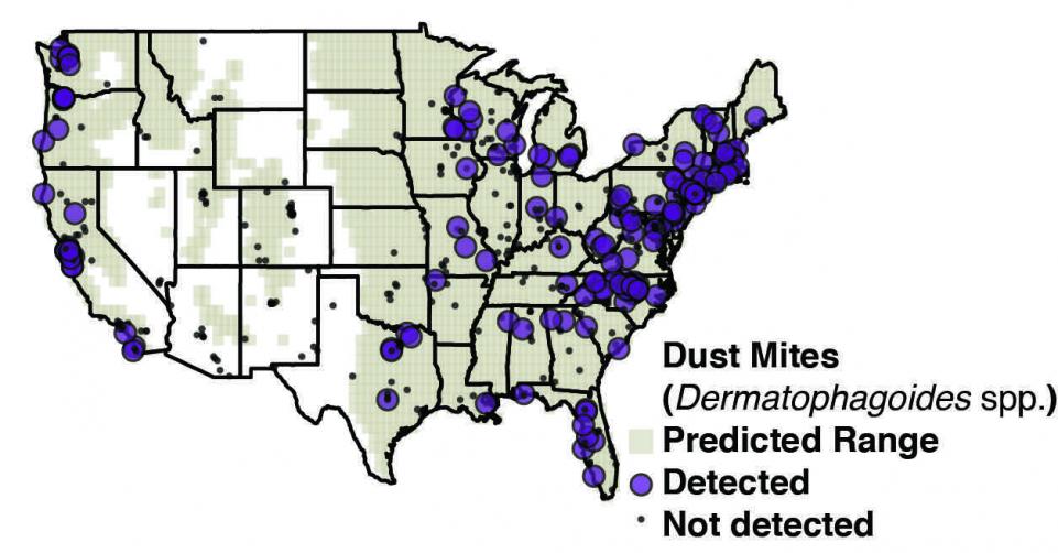 اكتشاف 600 نوع من الحشرات في منازل أمريكا 88-154223-dust-bugs-house-america-2
