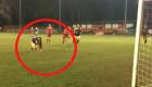 بالفيديو.. لاعب سوانزي السابق ينفذ ضربة جزاء بطريقة ماكرة