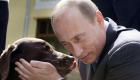 روسيا ترفض "الكلب".. هدية اليابان لبوتين