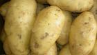 روسيا تخفف الحظر على واردات البطاطس المصرية
