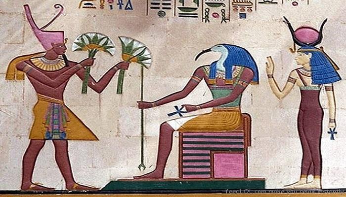 زهور اللوتس في حياة المصري القديم