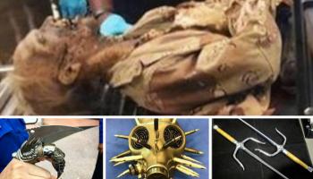 أغرب مضبوطات المطارات الأمريكية