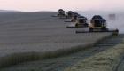 روسيا تبحث "حظرا مؤقتا" على بعض وارداتها الزراعية من مصر