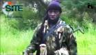 مقتل 7 من جيش النيجر في هجومين لـ"بوكو حرام"