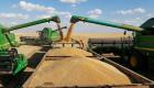 حرب "الإرجوت".. مصر ترفض شحنة جديد من القمح الروسي