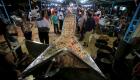 بالصور.. بلدة لبنانية تسجل غينيس أكبر طبق "سمكة حرَّة"