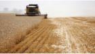 إنفوجراف.. 3 أسباب لإنهاء أزمة المحاصيل بين روسيا ومصر