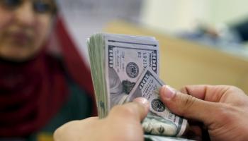 استقرار الدولار في السوق المصرية