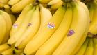 "مرض بنما" يضرب الموز في 3 دول إفريقية