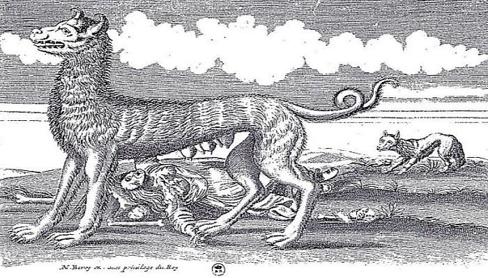 لوحة فرنسية تعود لعام 1653