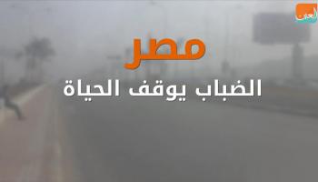 مصر.. الضباب يوقف الحياة