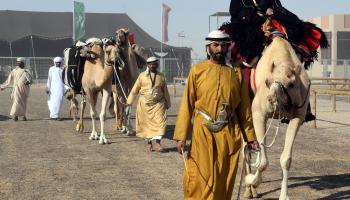 مهرجان سلطان بن زايد التراثي