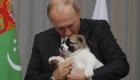بالصور.. رئيس تركمانستان يهدي بوتين جروا نادرا